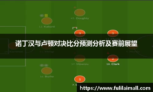 诺丁汉与卢顿对决比分预测分析及赛前展望